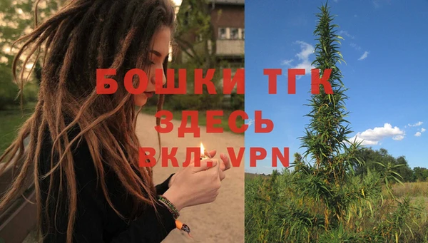 ГАЛЛЮЦИНОГЕННЫЕ ГРИБЫ Абаза