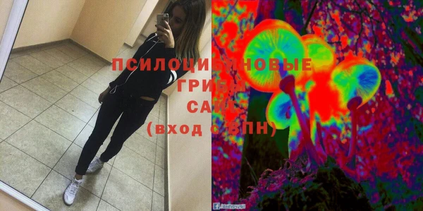 ГАЛЛЮЦИНОГЕННЫЕ ГРИБЫ Абаза