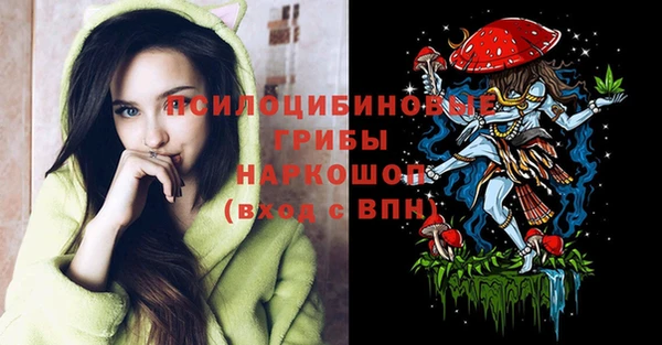 дживик Алзамай