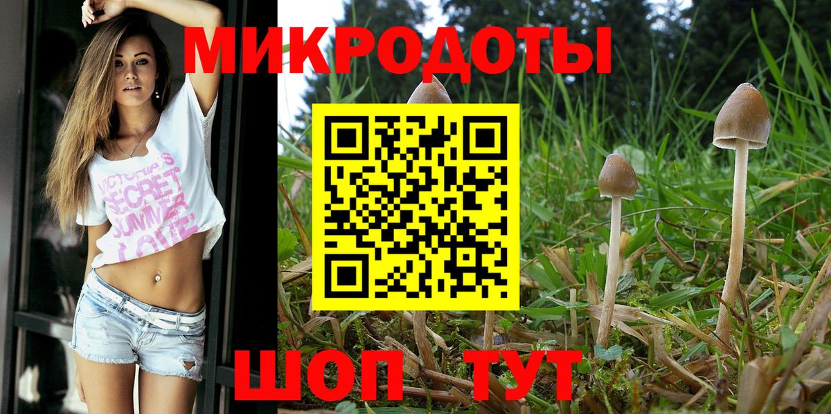 Псилоцибиновые грибы Cubensis  Галлюциногенные грибы Magic Shrooms  Волоколамск  Вход с VPN 