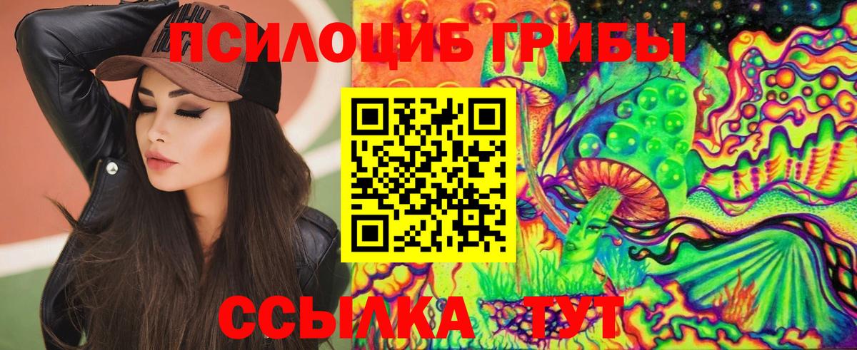 Галлюциногенные грибы Cubensis Волоколамск